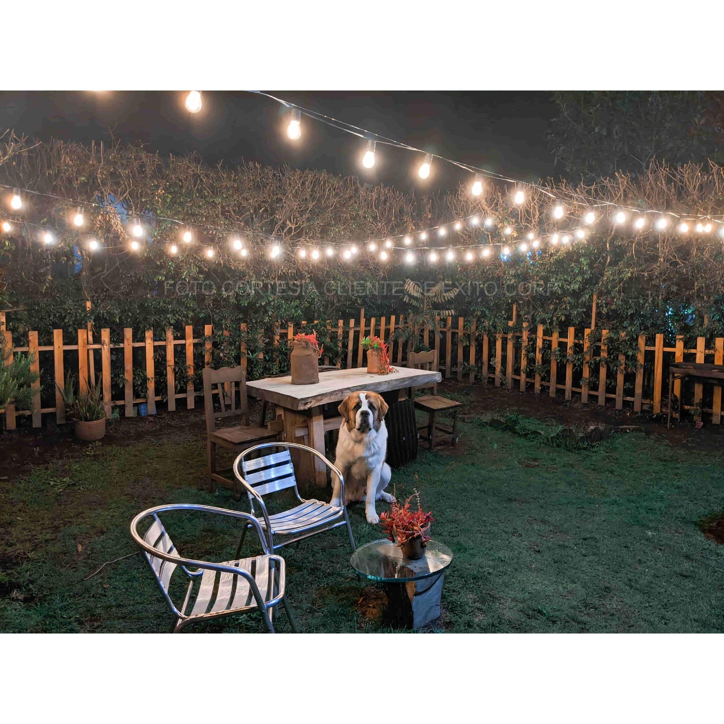 Lampara Extension De Bombillos Vintage Led Exteriores