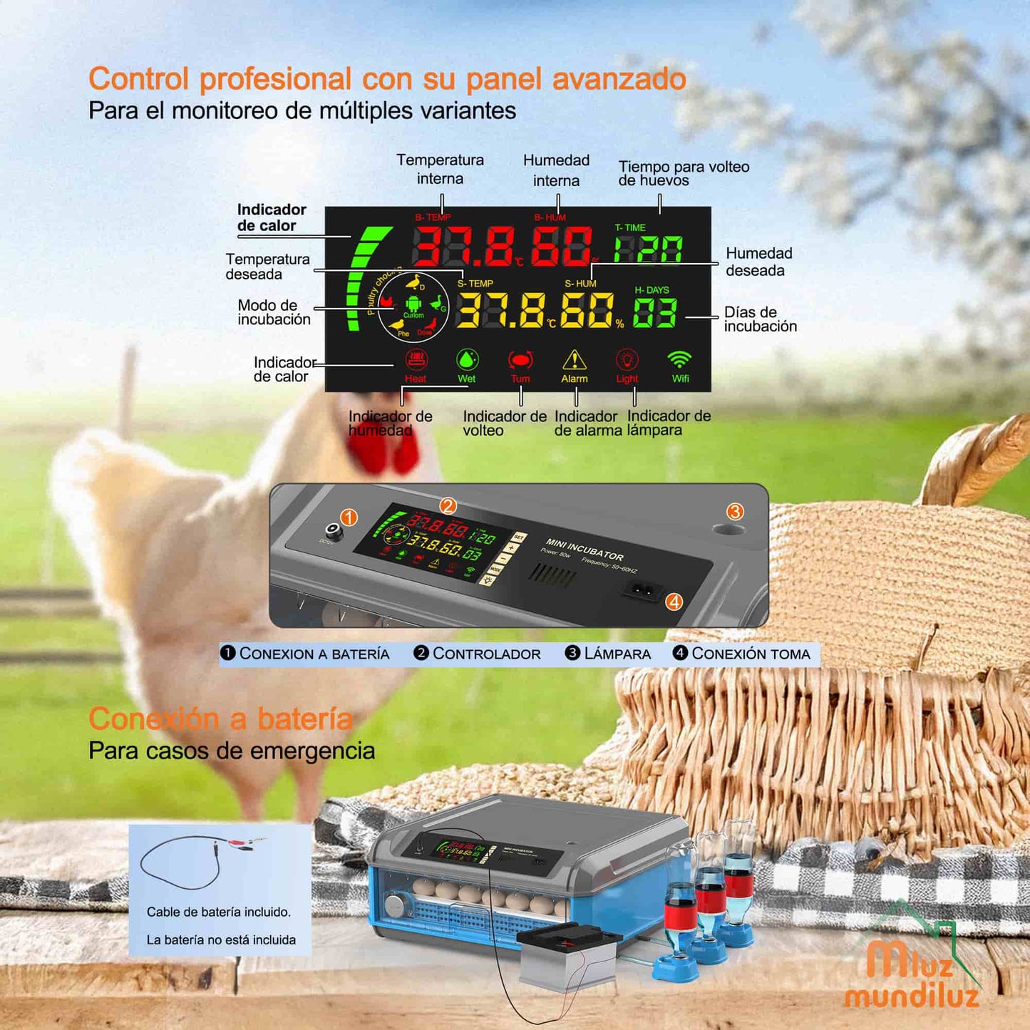 Incubadora De 400 Huevos Inteligente industrial Automática