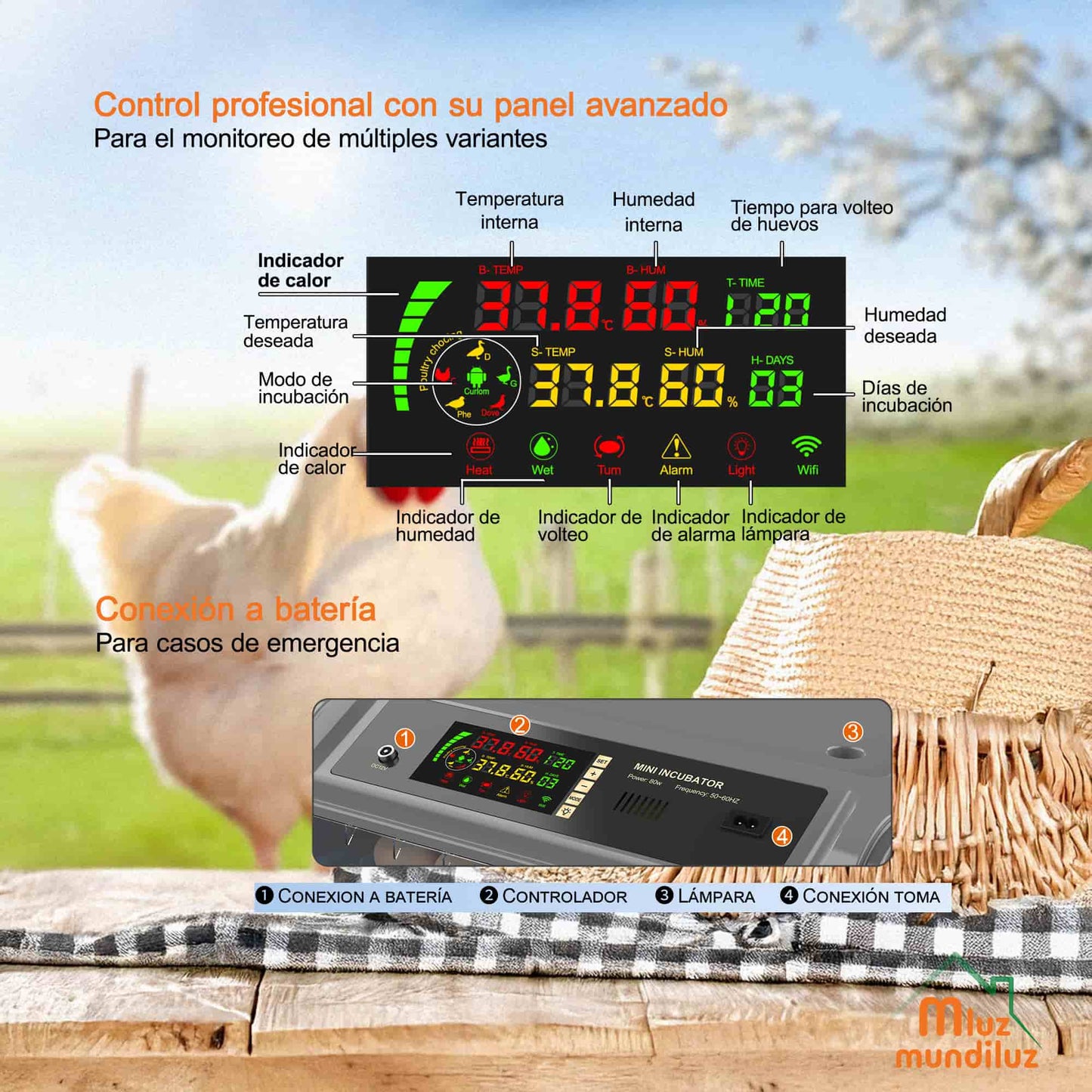 Incubadora De 400 Huevos Inteligente industrial Automática