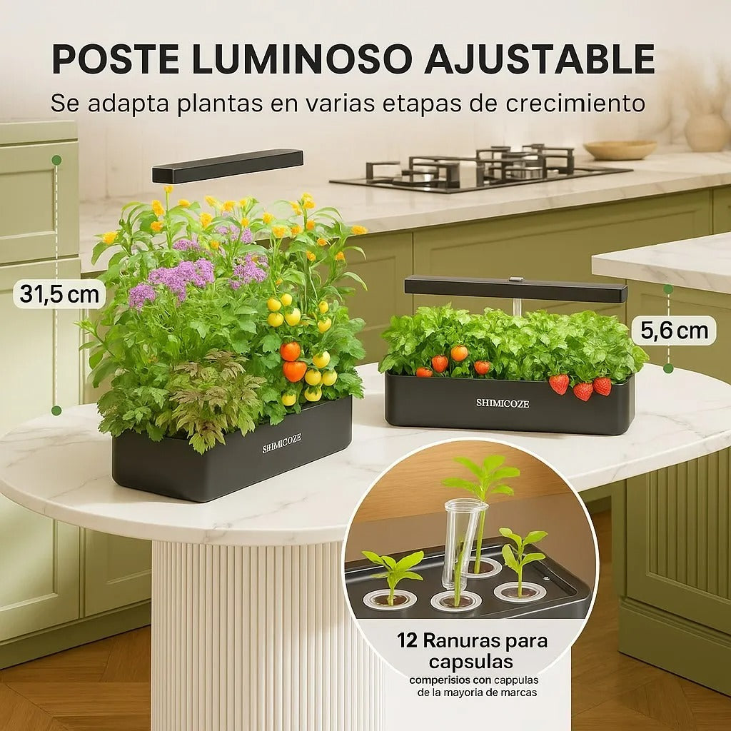 Sistema Cultivo Hidroponico Plantas Flores Frutas Verduras
