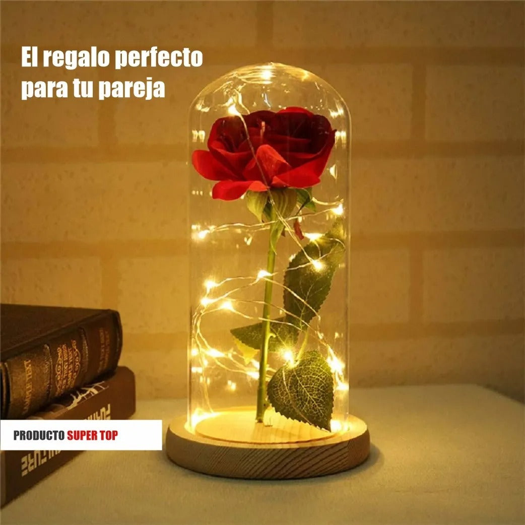 Extension De Luces Micro Led Alambre Con 20 Leds 2m.