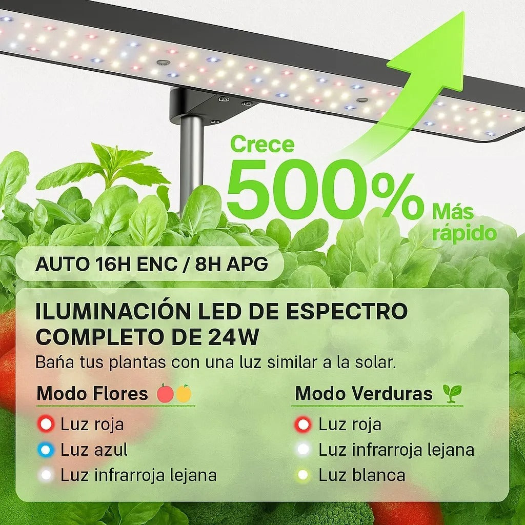 Sistema Cultivo Hidroponico Plantas Flores Frutas Verduras