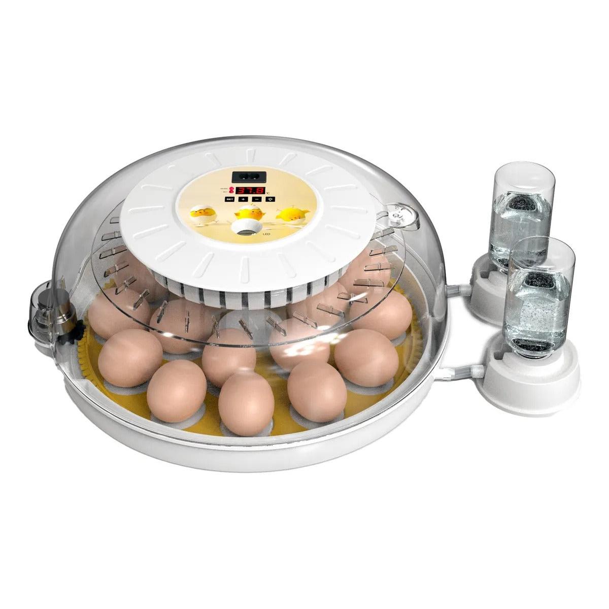 Incubadora De 18 Huevos Volteo Automatico Y Panel De Control