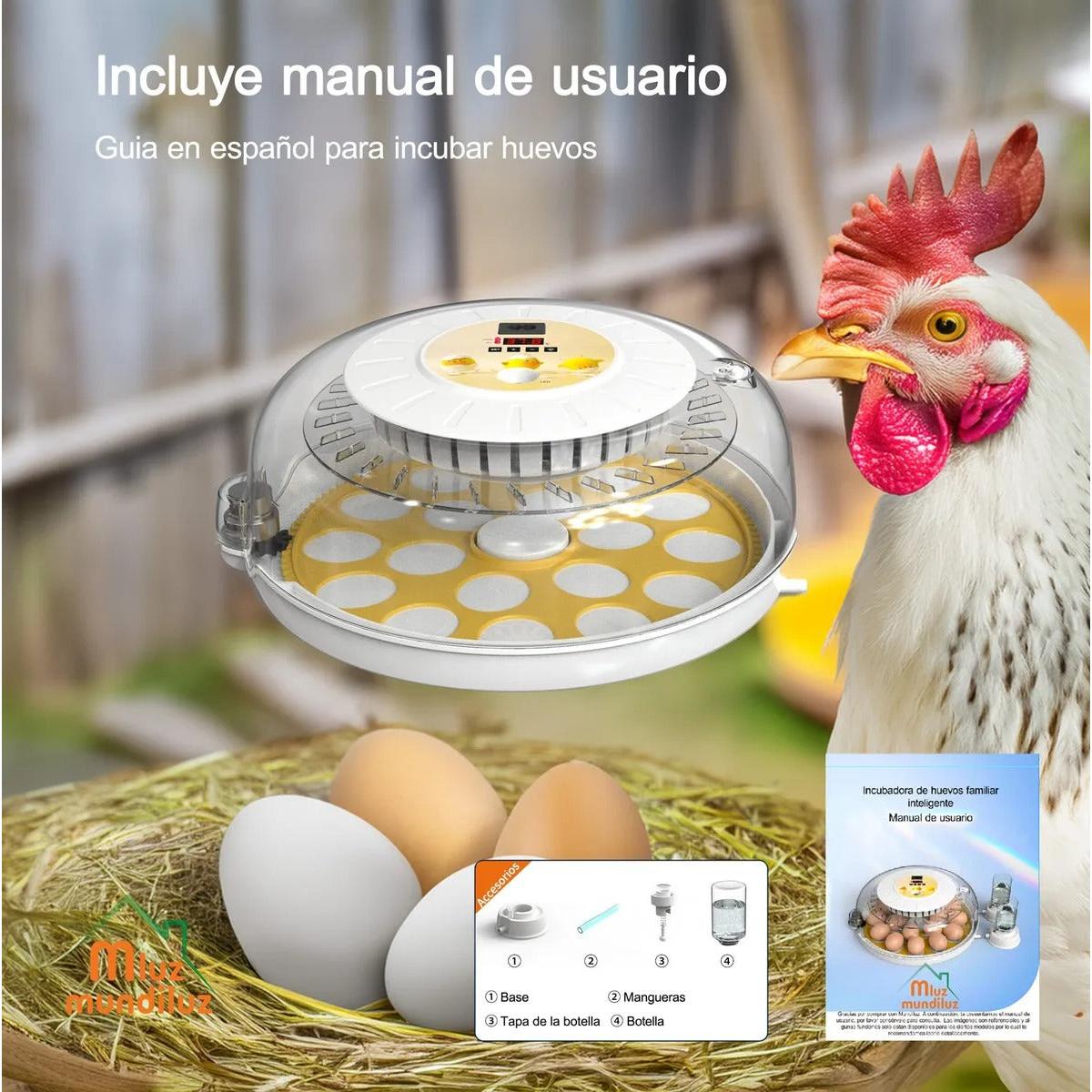 Incubadora De 18 Huevos Volteo Automatico Y Panel De Control