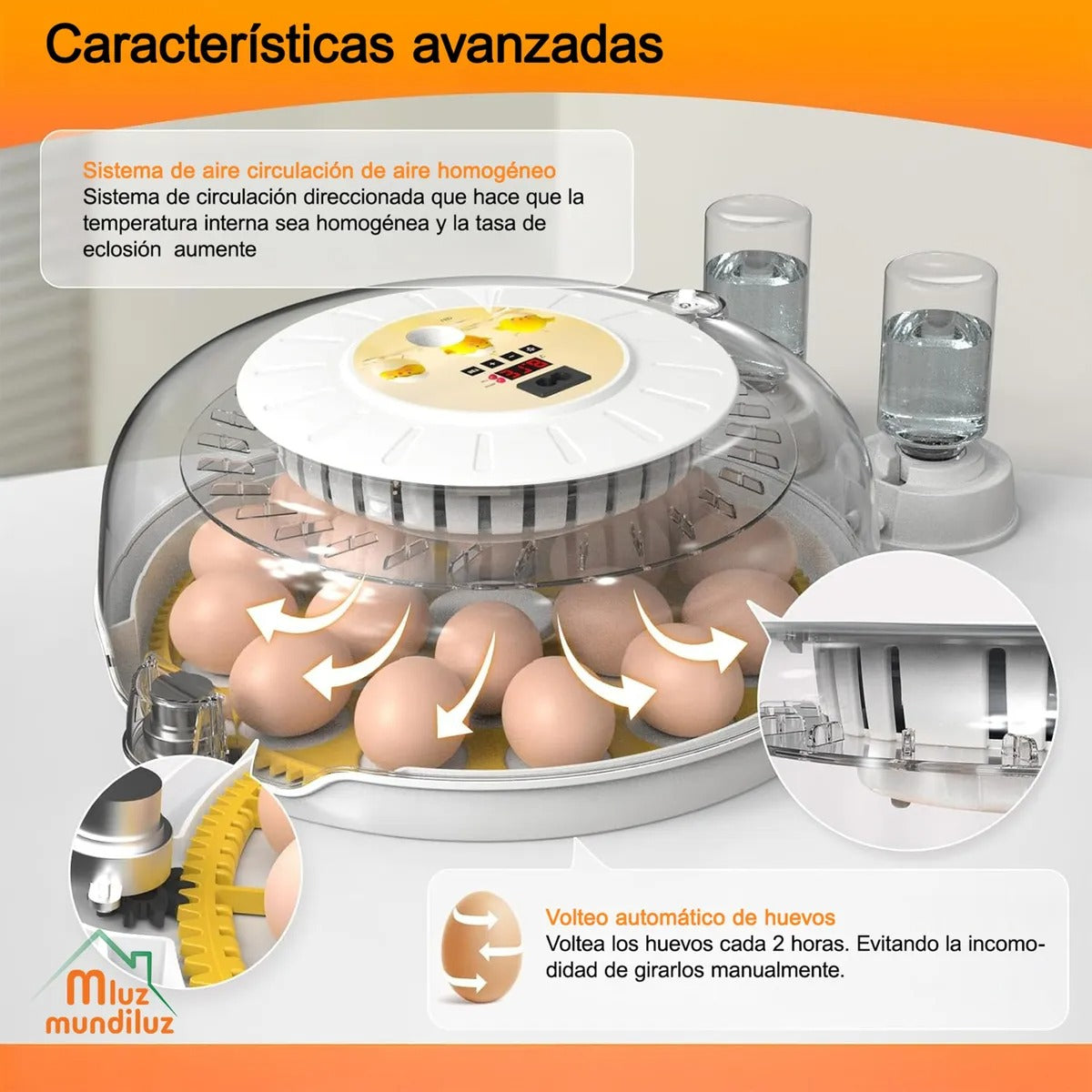 Incubadora De 18 Huevos Volteo Automatico Y Panel De Control