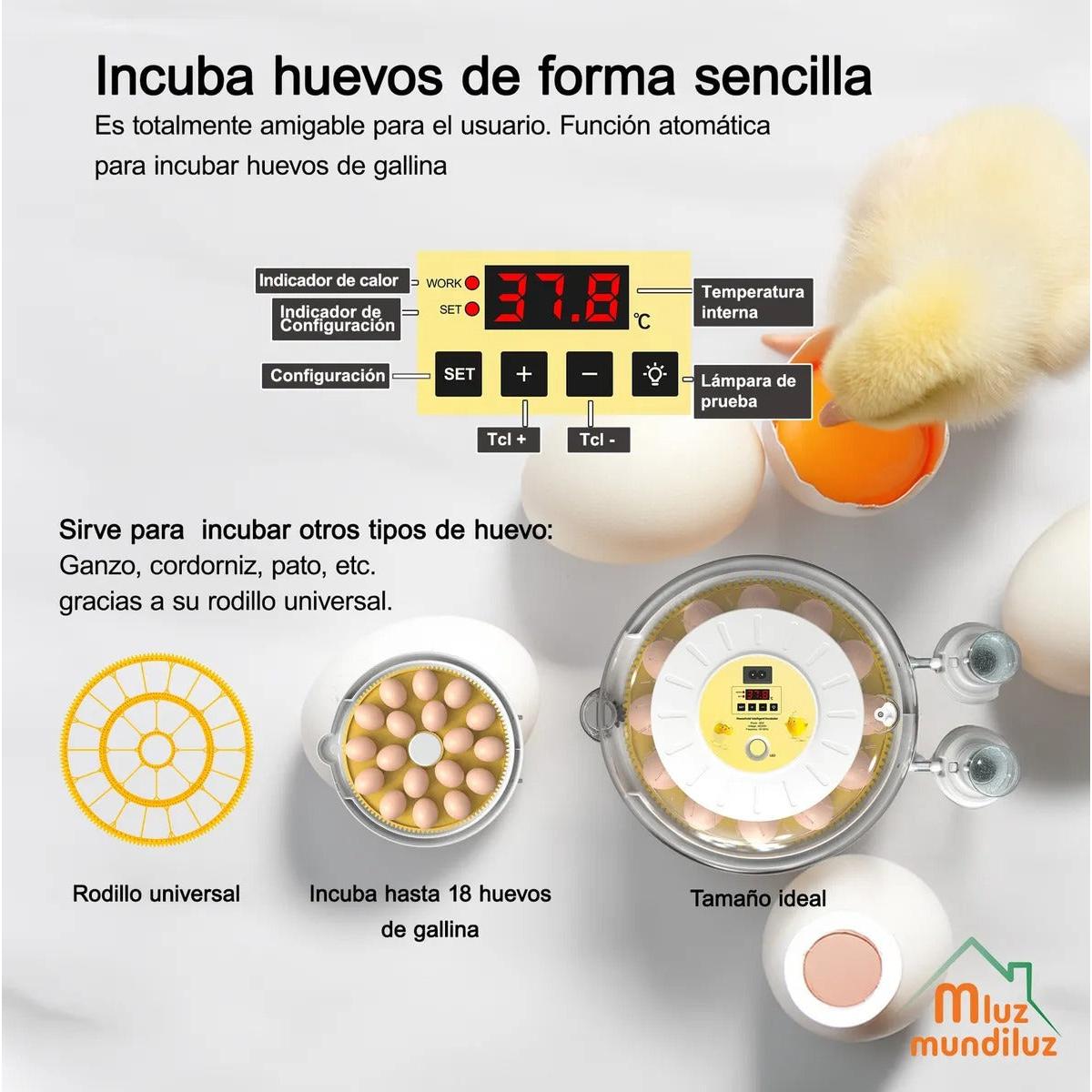 Incubadora De 18 Huevos Volteo Automatico Y Panel De Control