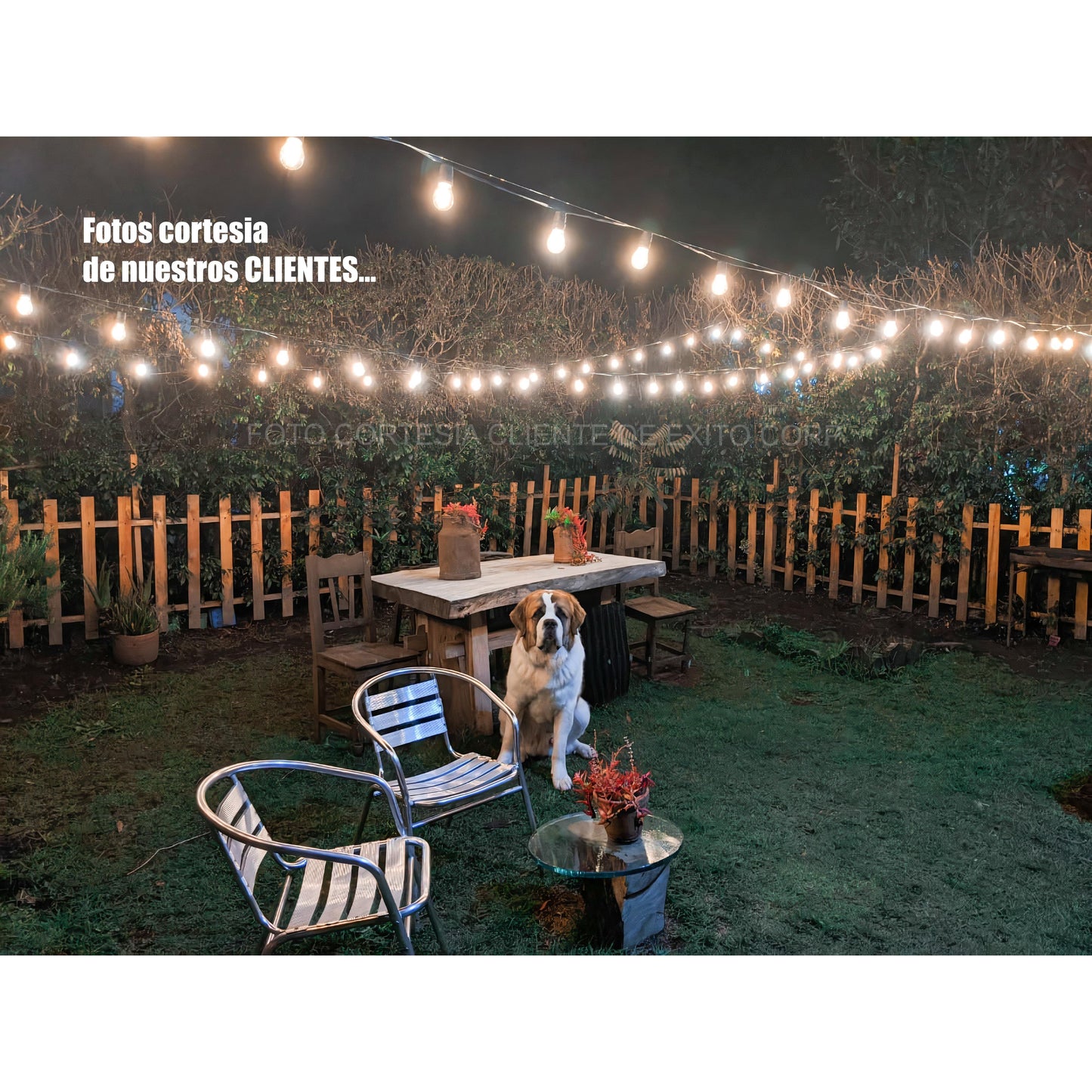 Lampara Extension De Bombillos Vintage Led Exteriores