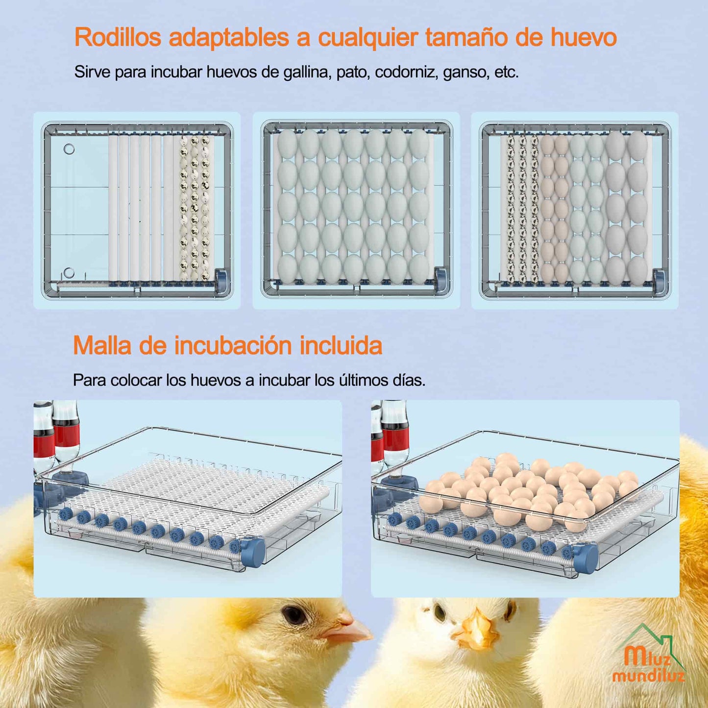 Incubadora De 128 Huevos Volteo Automatico Y Control Humedad