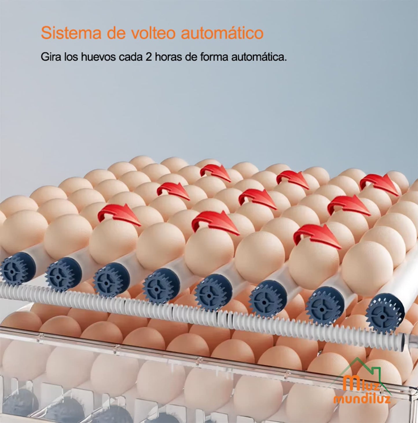 Incubadora De 128 Huevos Volteo Automatico Y Control Humedad