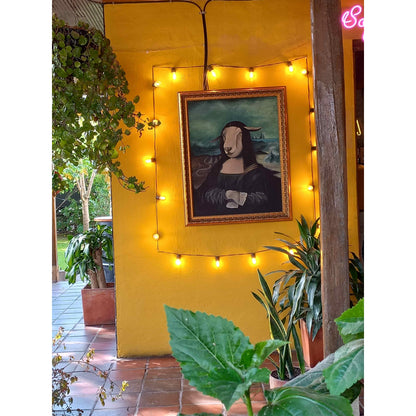 Lampara Extension De Bombillos Vintage Led Exteriores