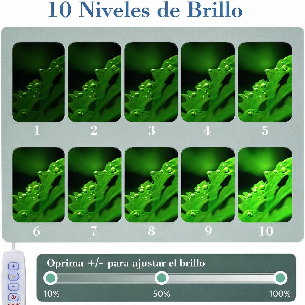 Lámpara Para Acuario O Pecera  Tipo Clip
