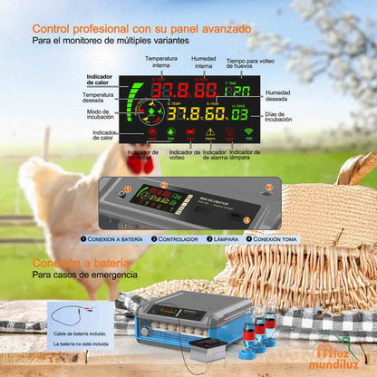 Incubadora De 400 Huevos Inteligente industrial Automática
