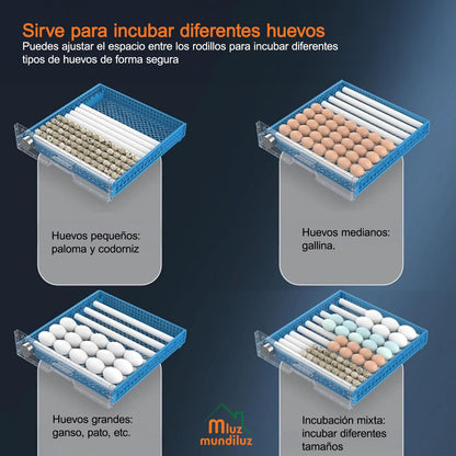 Incubadora De 400 Huevos Inteligente industrial Automática