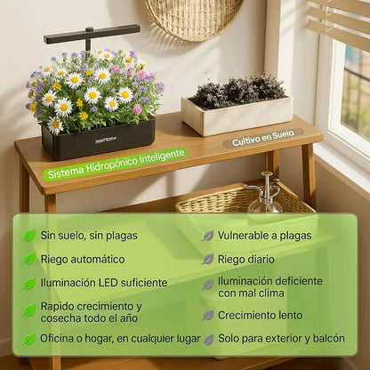 Sistema Cultivo Hidroponico Plantas Flores Frutas Verduras