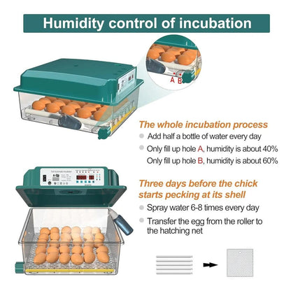 Incubadora 36 Huevos Volteo Automatico Y Panel De Control