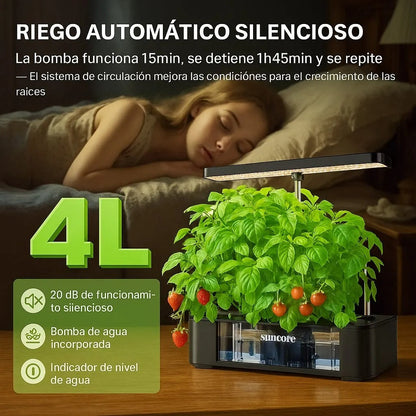 Sistema Cultivo Hidroponico Plantas Flores Frutas Verduras