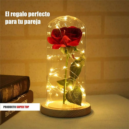 Extension De Luces Micro Led Alambre Con 20 Leds 2m.