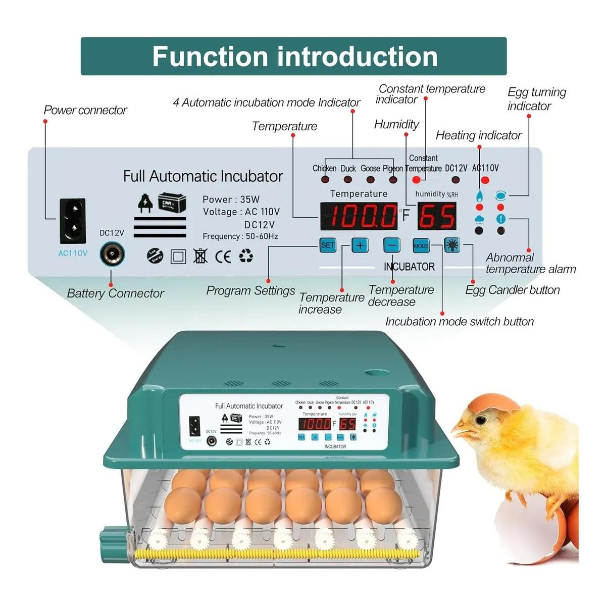 Incubadora 36 Huevos Volteo Automatico Y Panel De Control