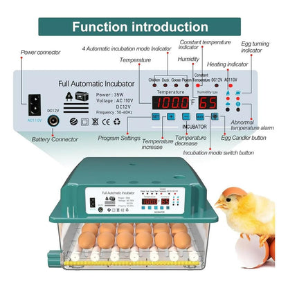 Incubadora 36 Huevos Volteo Automatico Y Panel De Control