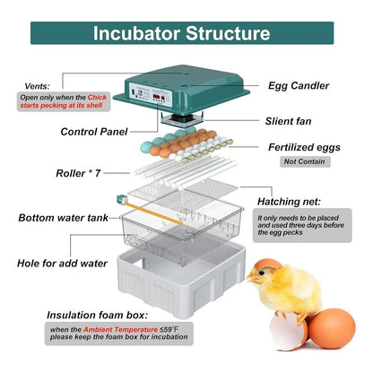 Incubadora 36 Huevos Volteo Automatico Y Panel De Control