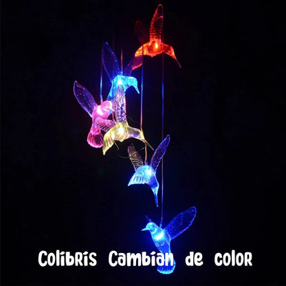 Carrillón Solar Para Jardín De Colibries. Cambia De Color