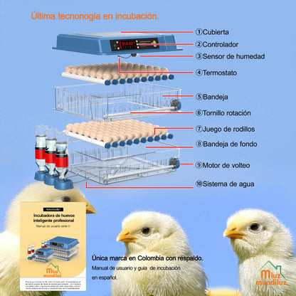 Incubadora De 128 Huevos Volteo Automatico Y Control Humedad
