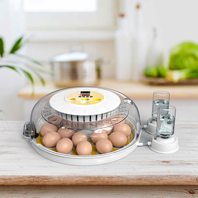 18 Huevos